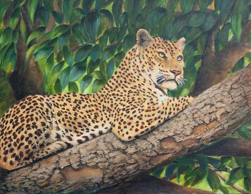Leopard in tree by Norma Beatriz Zaro