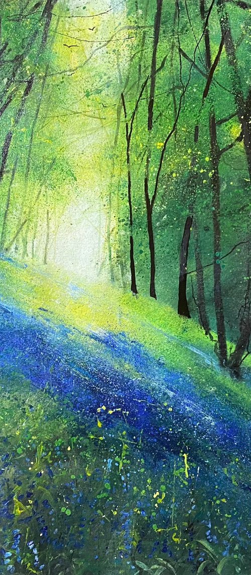 Spring, Light Through Bluebell Woodland by Teresa Tanner