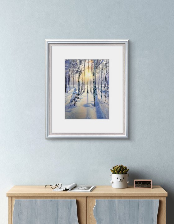 Birch grove in winter glow