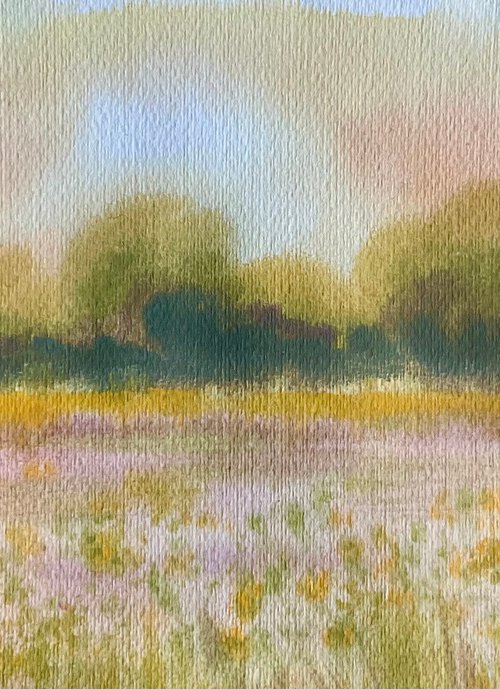 Buttercup meadow sunrise by Samantha Adams