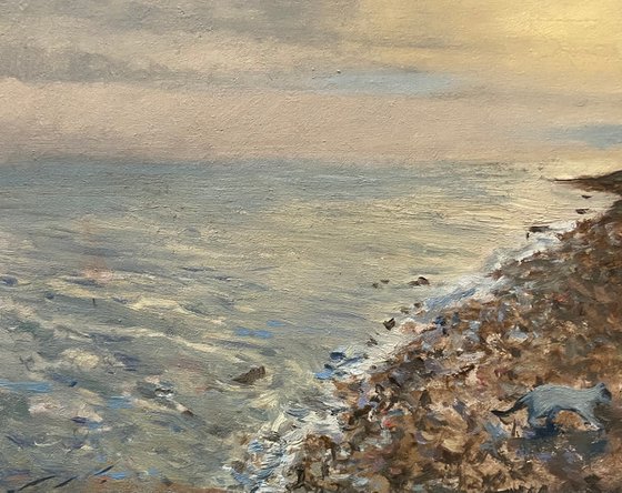 Cat by the sea