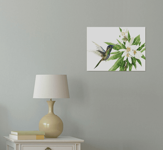 Hummingbird and Plumeria