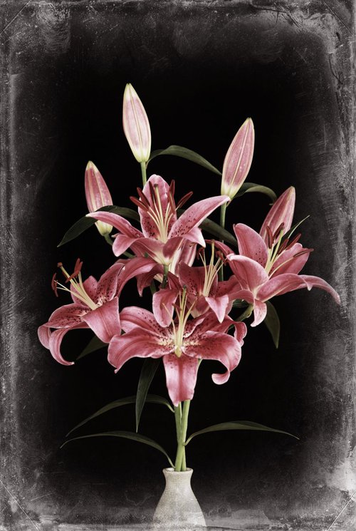 Lilies # 1 by Louise O'Gorman
