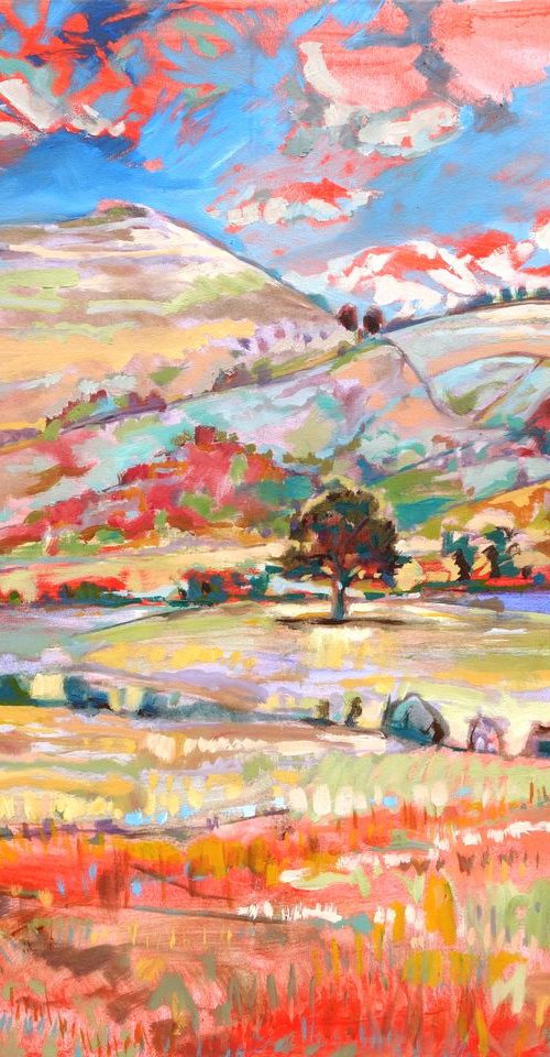 Summer Fields by Guy  Pickford
