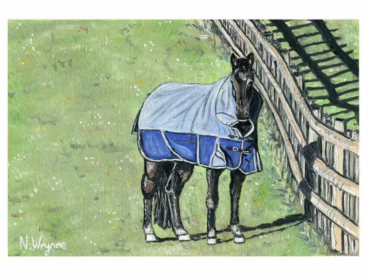 Animal Oil Painting - Horse Paddock by Neil Wrynne
