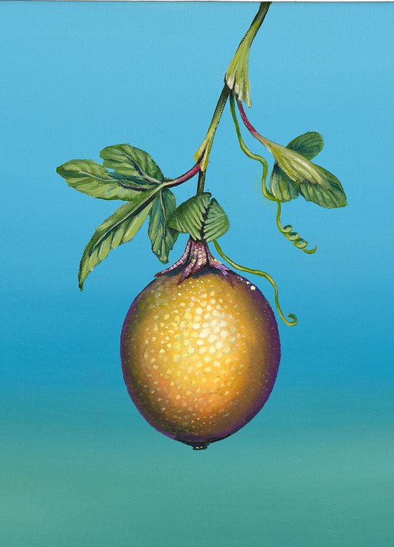 O Maracjua-Passion Fruit Mini2