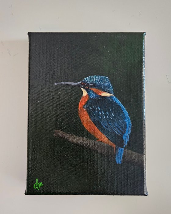 Kingfisher