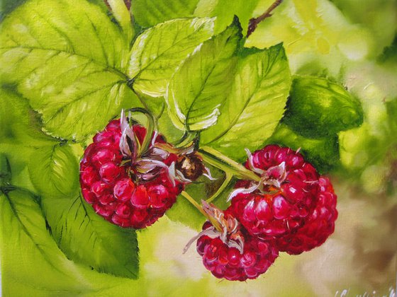 Ripe Raspberries