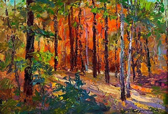 Autumn in the Forest