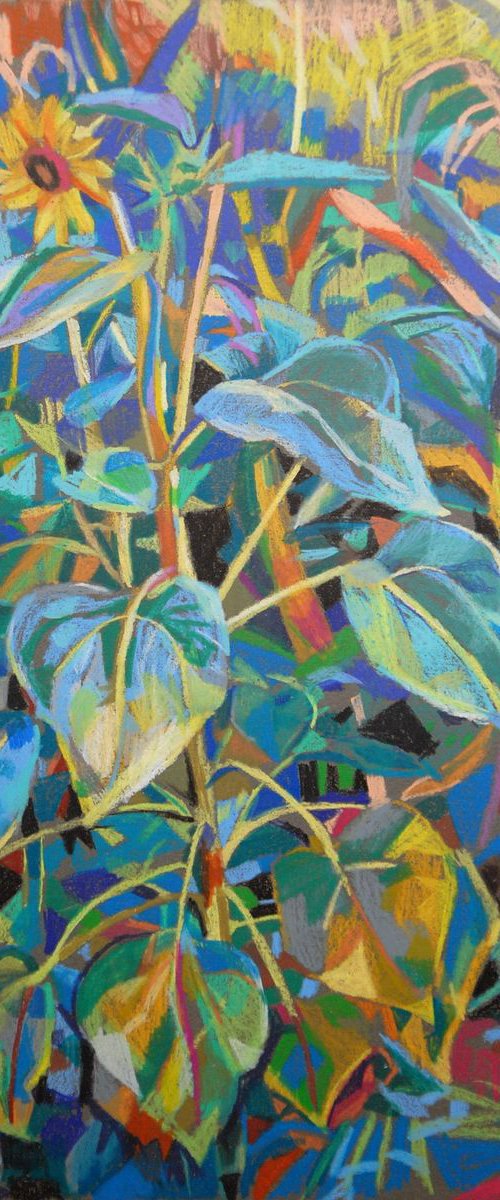 Sunflowers / Summer flowers III ( 35 X 25 cm ) by Maja Đokić Mihajlović
