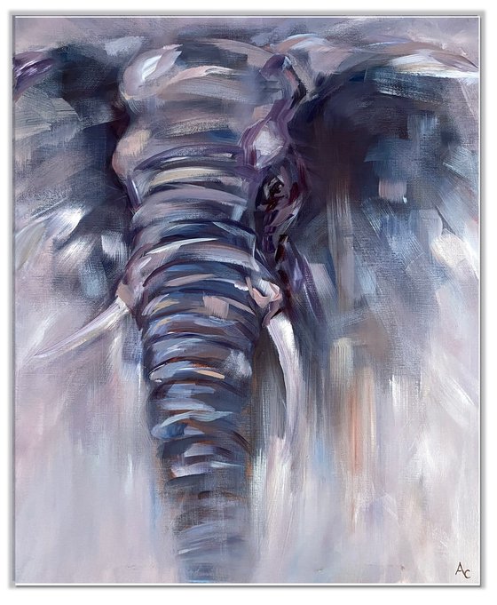 Evening Calm_Elephant