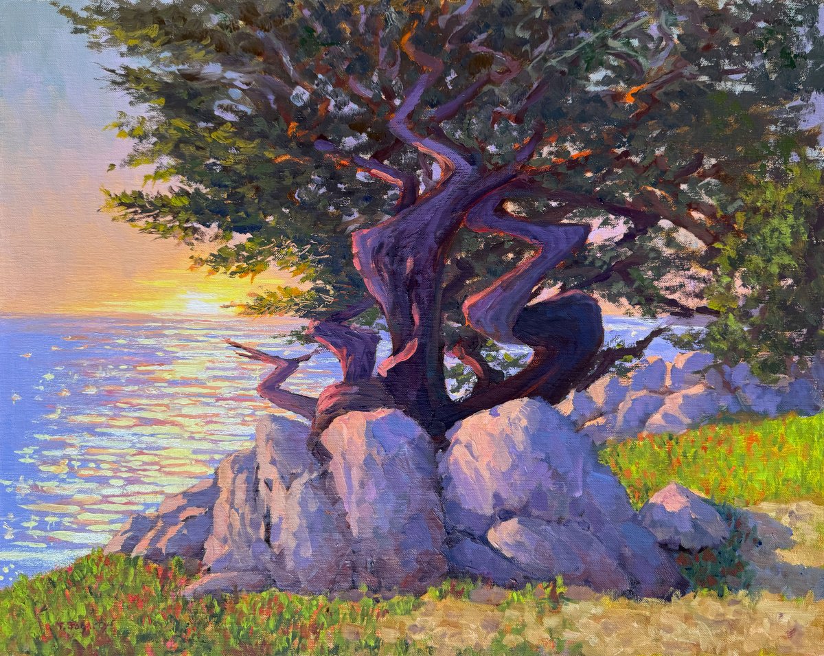Impressionistic Landscape Oil Painting By Tatyana Fogarty, 20 X 16", Monterey Cypresses At Sunset, Original Artwork