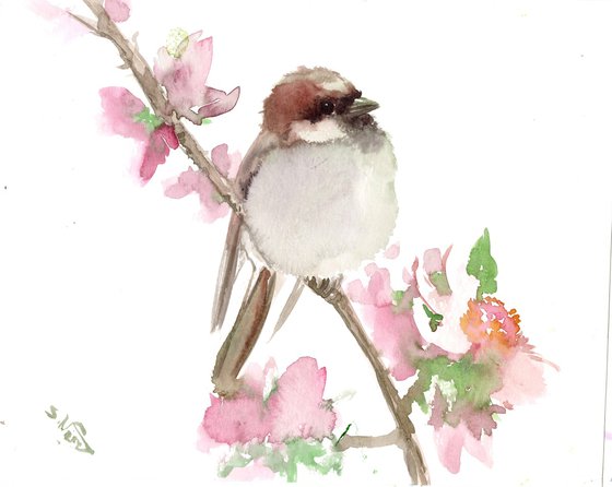 Sparrow Bird and Spring