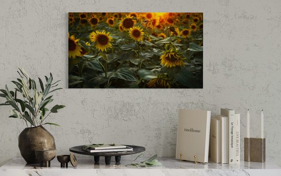 Golden Silence II – Field of Warmth