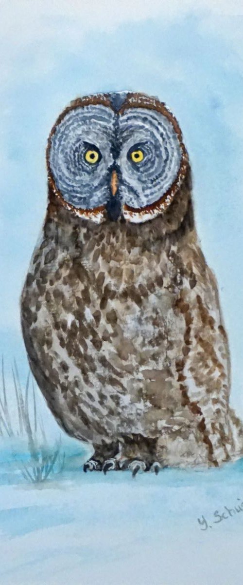 Owl by Yulia Schuster