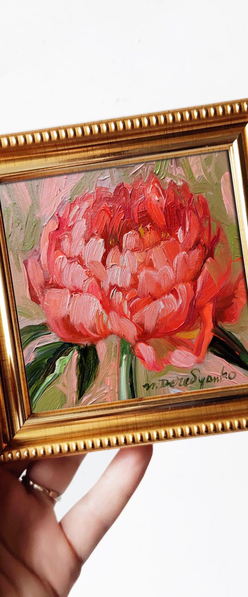 Coral peony flowers by Nataly Derevyanko