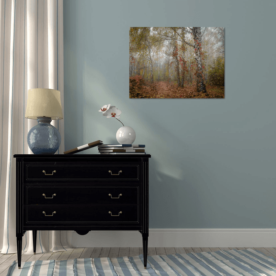Autumn Calm II — Misty Birches