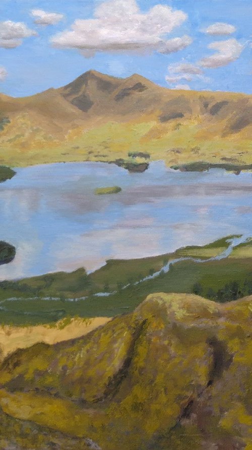Derwentwater: A Lake District Landscape by Chris Marshall