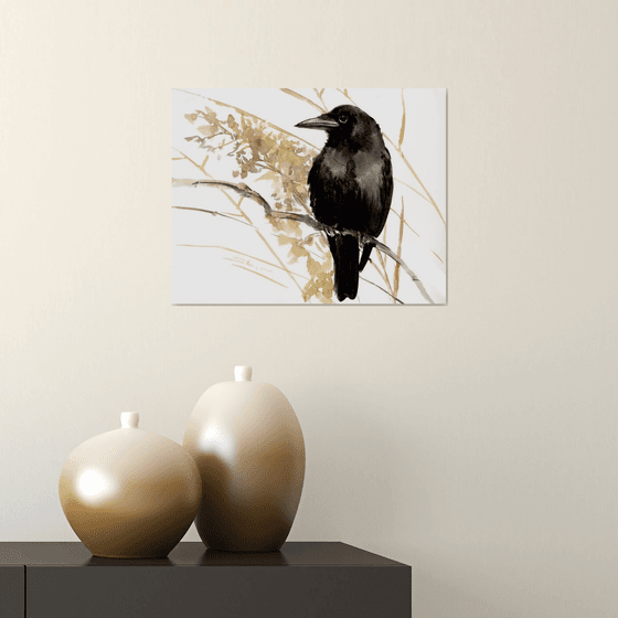 Crow Bird