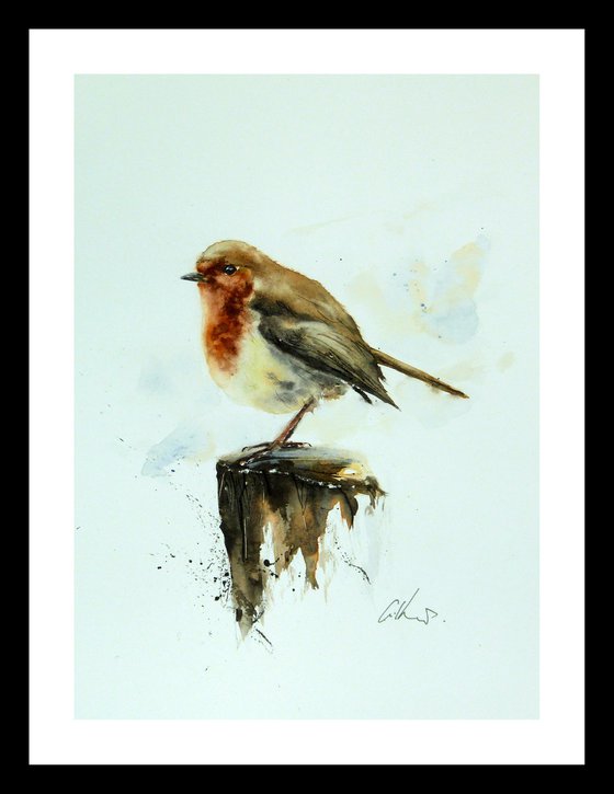 A Robin. Original watercolour painting.