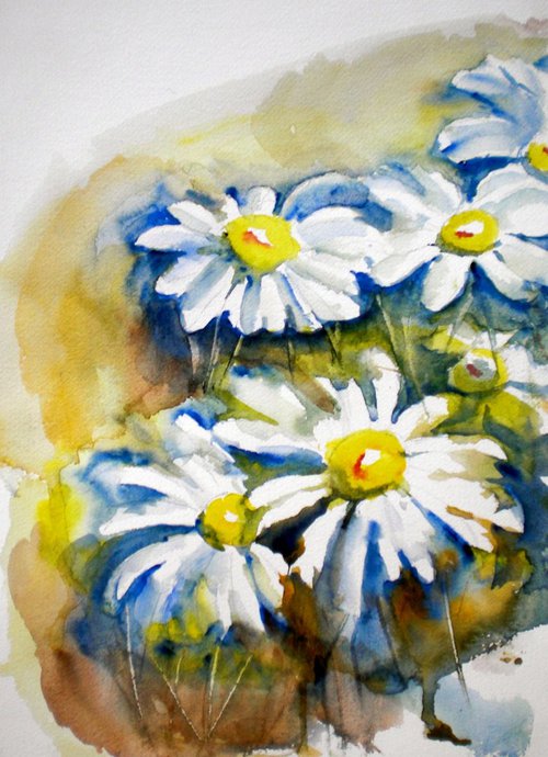 daisies by Giorgio Gosti