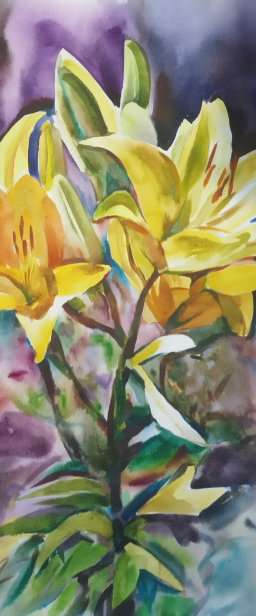 Yellow lilies by Valentina Kachina