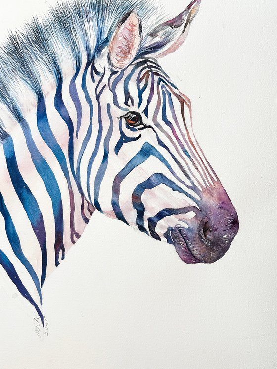 Blue Bjorn_Zebra