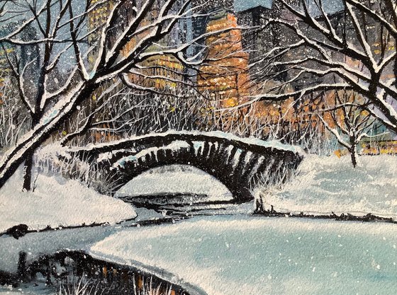 Central Park Winter