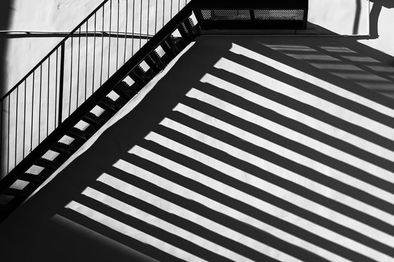 Lines