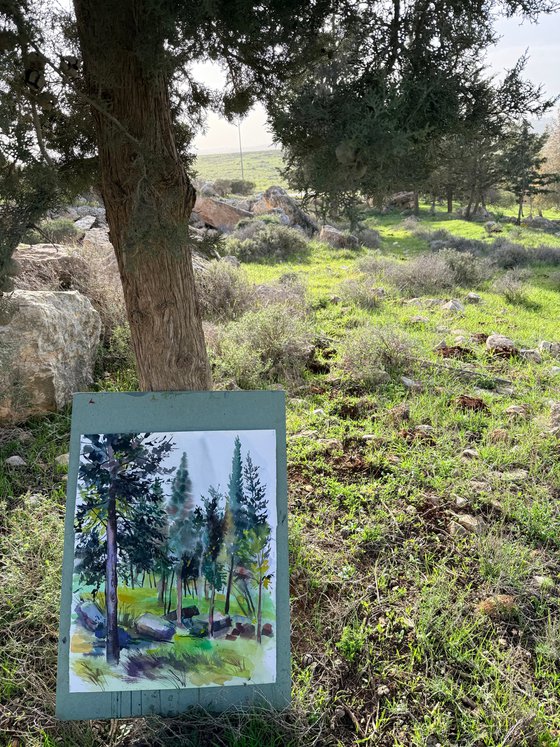 Morning in the Woods