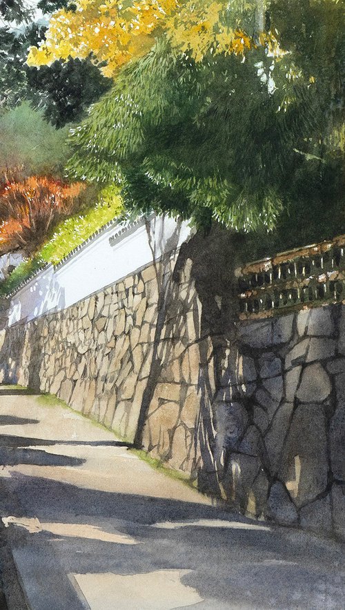 Sunlight through the Trees in Sakamoto, Shiga by Masato Watanabe