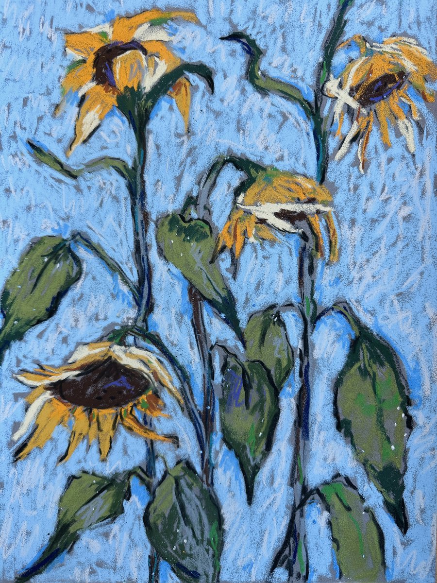 Impressionistic Botanical Pastel Drawing By Irina Anis, 12 X 16, Sunflowers On Blue, Original Artwork