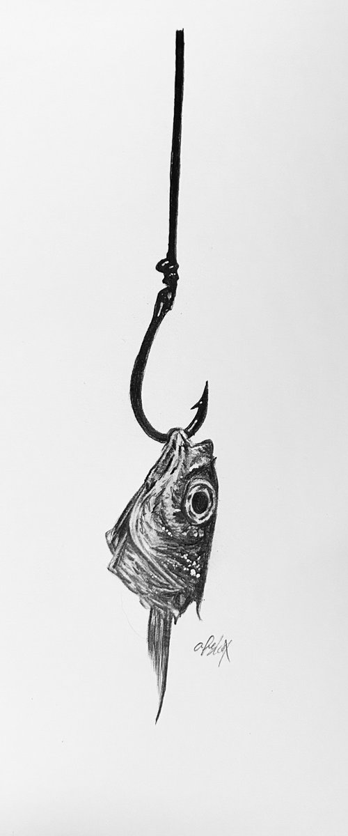 Fish head by Amelia Taylor