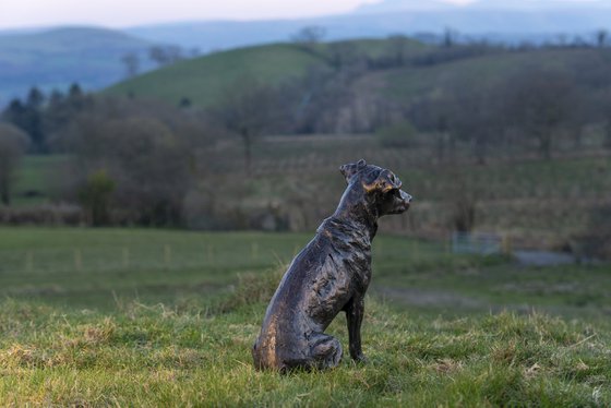 'Missy' Jack Russell sculpture