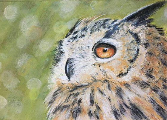Wise Old Owl Painting