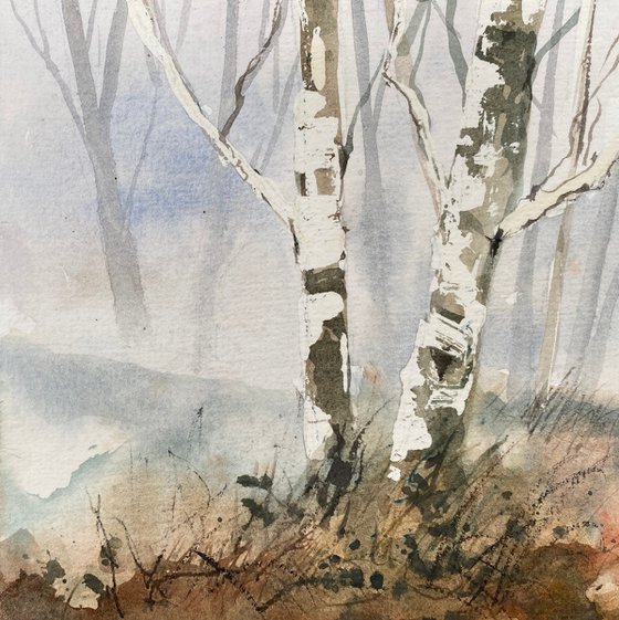 Winter Silver Birches