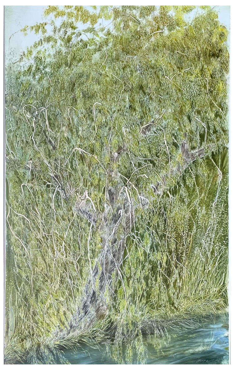 The Great Willow By Maija Nochevnaya, 16 X 26, Artwork For Sale On Artfinder