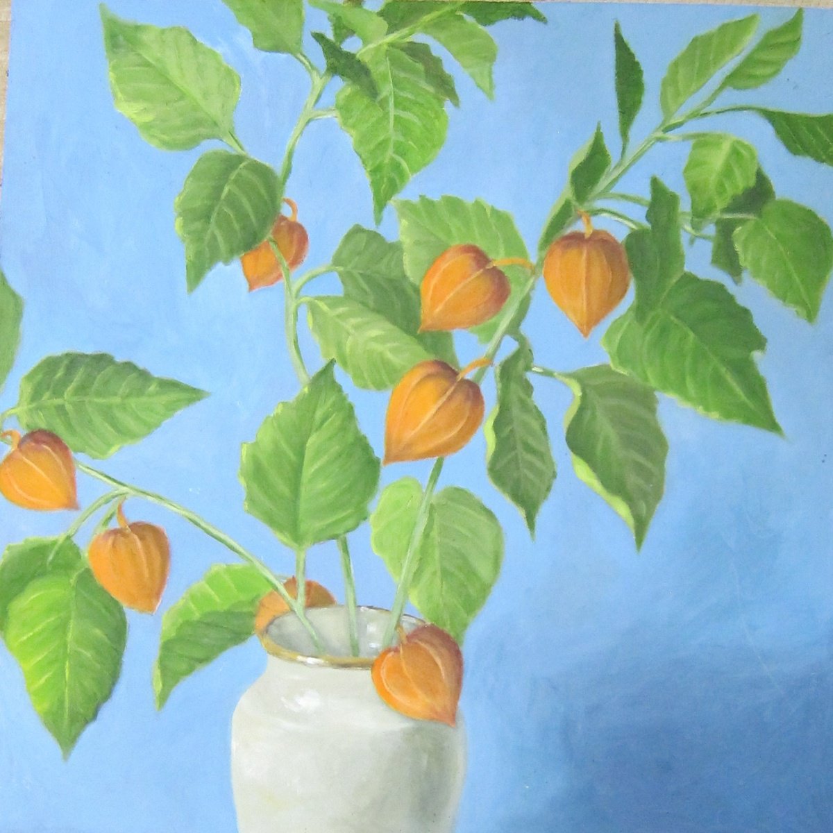 Illustrative Botanical Oil Painting By Sophie Colmer-Stocker, 18 X 18", Chinese Lantern Plant. (Physalis), Original Artwork