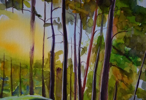 Norway watercolor painting Norwegian forest, sun rays through trees and stream