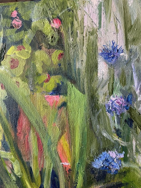 Oxalis and Cornflowers Study