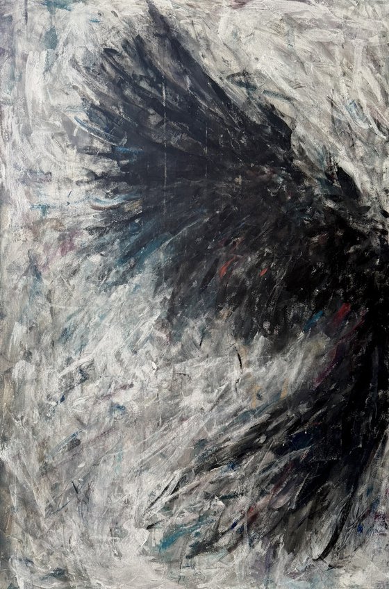 Raven flight