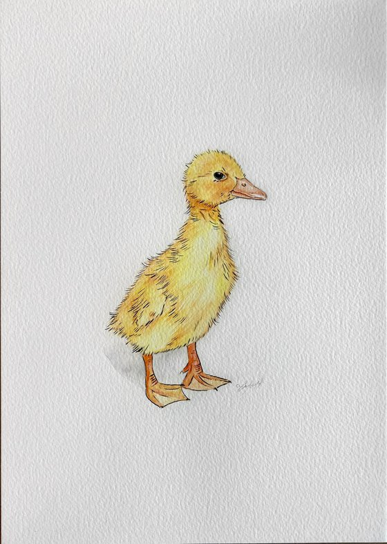 Yellow duckling