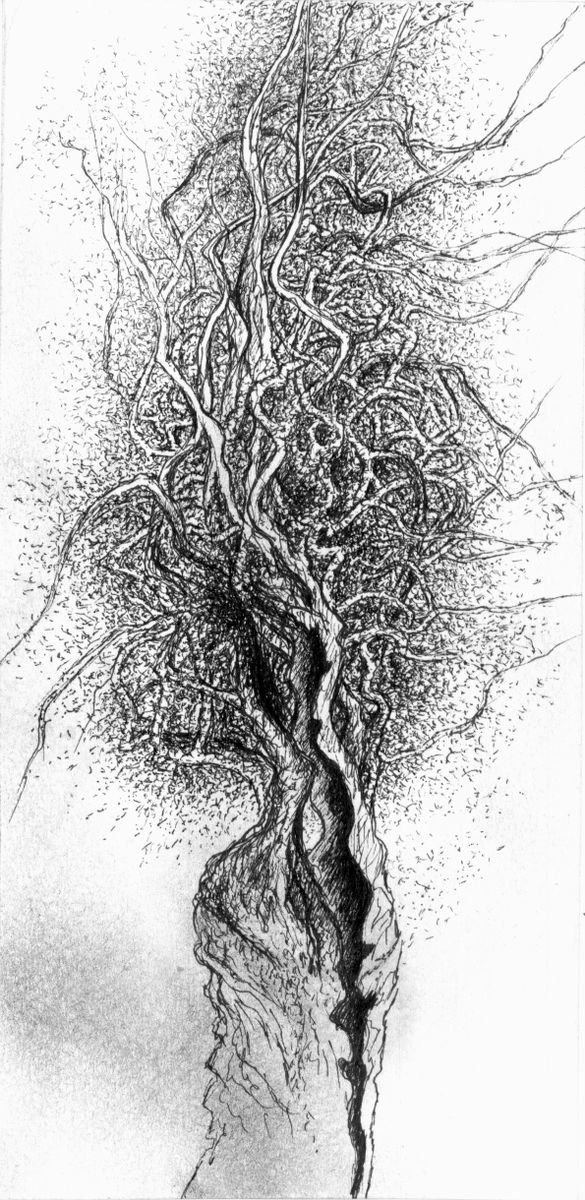 A series of Mystic Trees 06 by Julia Krastina