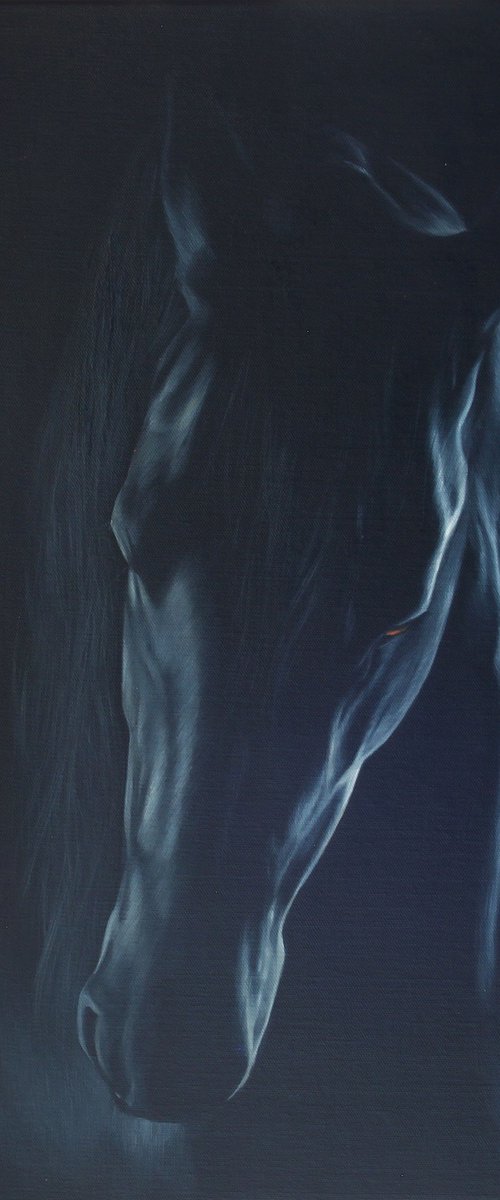 Friesian horse by Marie Madej