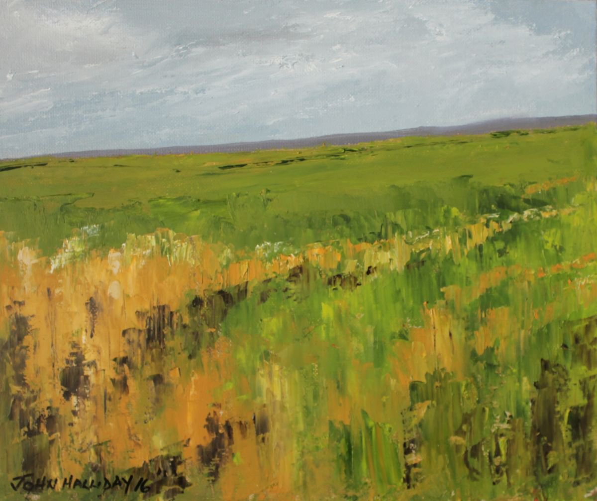 Reeds and grasses by John Halliday