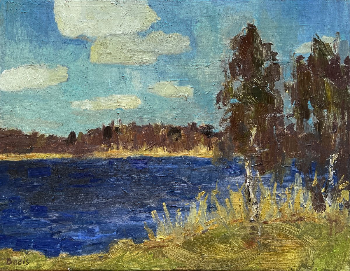 Impressionistic Landscape Oil Painting By Bohdan Dobrivskyi, 18 X 14, Dark Water, Original Artwork