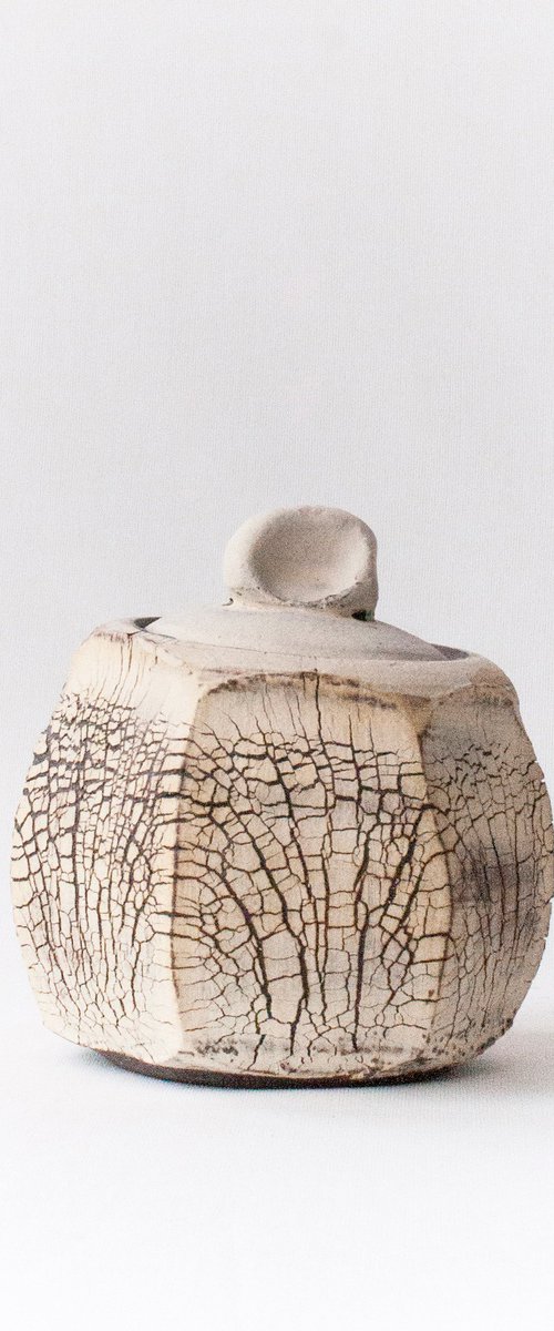 Sugar Cube by Johanna Braeunlich
