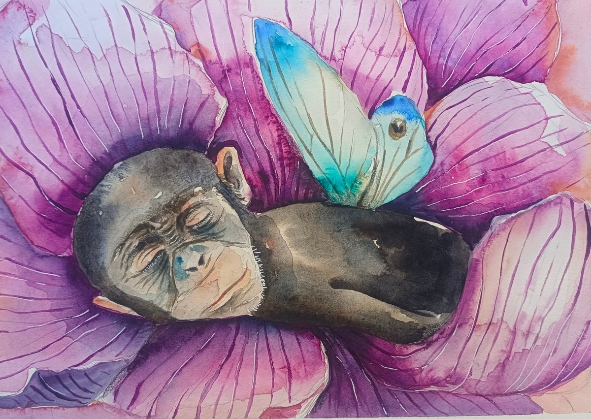Illustrative Animal Watercolour By Evgenia Smirnova, 12 X 8, Sleeping Monkey, Original Artwork
