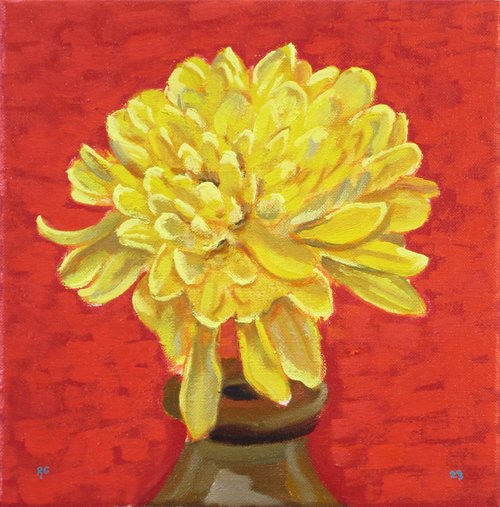 Chrysanthemum Flowerhead by Richard Gibson