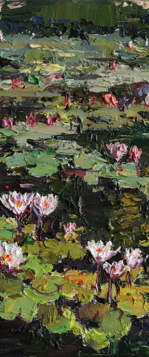 Blooming Water Lilies by Anastasiia Valiulina